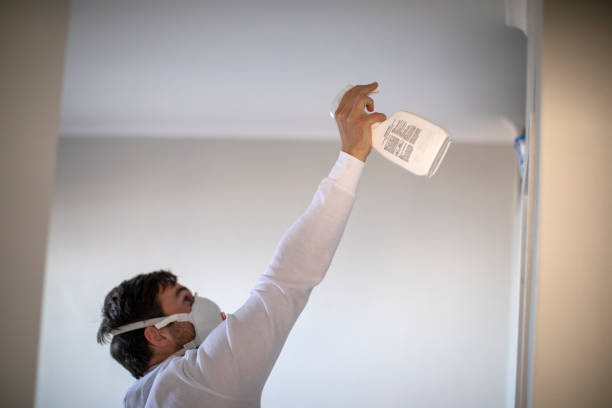 Best Local Mold Removal Service  in Konawa, OK